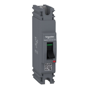 Molded Case Circuit Breaker (MCCB) - Easypact EZC 250- Schneider Electric