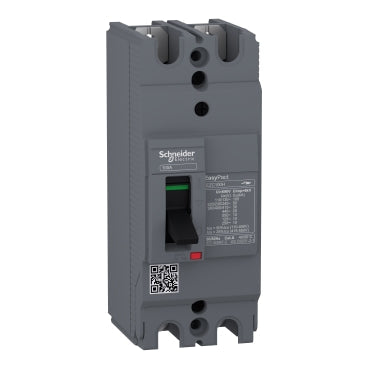 Molded Case Circuit Breaker (MCCB) - Easypact EZC 250- Schneider Electric